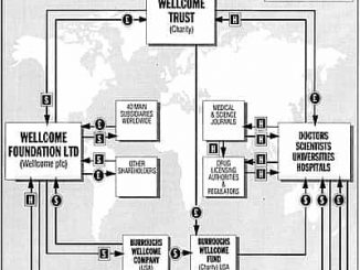 Wellcome Trust, Wellcome Foundation